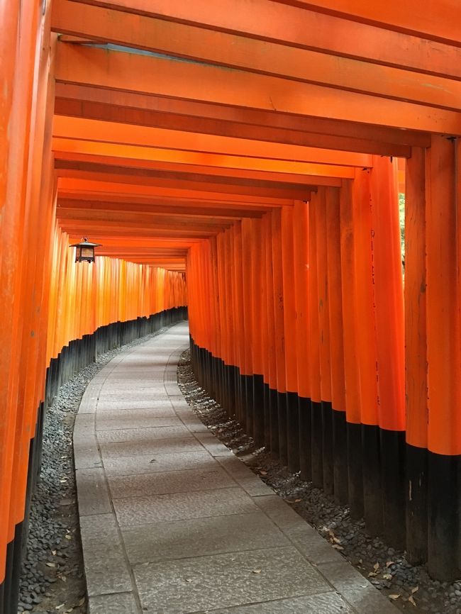 見とれてしまう光景ですね！