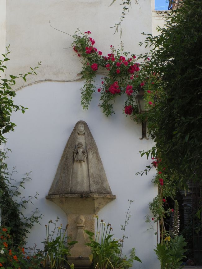 オランダ スペイン 花の旅 No 9 花の街コルドバ 公開パティオだけでなく街中花いっぱい コルドバ スペイン の旅行記 ブログ By 夏への扉さん フォートラベル オランダ スペイン 花の旅 No 9 花の街コルドバ 公開パティオだけでなく街中花いっぱい コルドバ スペイン の旅行記 ブログ By 夏への扉さん フォートラベル