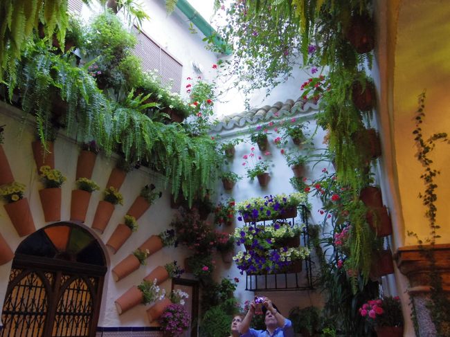 オランダ スペイン 花の旅 No 9 花の街コルドバ 公開パティオだけでなく街中花いっぱい コルドバ スペイン の旅行記 ブログ By 夏への扉さん フォートラベル オランダ スペイン 花の旅 No 9 花の街コルドバ 公開パティオだけでなく街中花いっぱい コルドバ スペイン の旅行記 ブログ By 夏への扉さん フォートラベル
