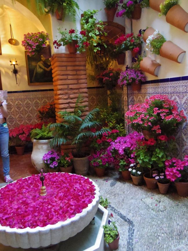 オランダ スペイン 花の旅 No 9 花の街コルドバ 公開パティオだけでなく街中花いっぱい コルドバ スペイン の旅行記 ブログ By 夏への扉さん フォートラベル オランダ スペイン 花の旅 No 9 花の街コルドバ 公開パティオだけでなく街中花いっぱい コルドバ スペイン の旅行記 ブログ By 夏への扉さん フォートラベル