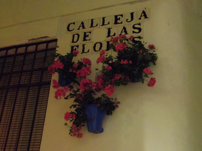オランダ スペイン 花の旅 No 9 花の街コルドバ 公開パティオだけでなく街中花いっぱい コルドバ スペイン の旅行記 ブログ By 夏への扉さん フォートラベル オランダ スペイン 花の旅 No 9 花の街コルドバ 公開パティオだけでなく街中花いっぱい コルドバ スペイン の旅行記 ブログ By 夏への扉さん フォートラベル