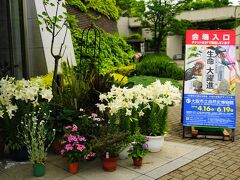 少し雨が降っています。
駐車場は、公園の駐車場じゃなくて少し離れたコインパーキングに停めました。
長居公園にあるタイムズは土・日・祝、最大２０００円ですが、南側の少し離れたところには、４００円・５００円のコインパーキングもあります。自分は４００円のところに停めました。これで一人分の観覧料がうきました（笑）さすがに帰る頃には、満車のところが多かったですね。

９：３０過ぎに入場したのですが、少し行列が出来ていました。その後、結構な入場制限があったようです。

館内は、映像展示物以外は撮影OKです。
