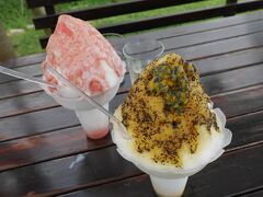 パッションフルーツとグァバのかき氷を注文。

私が注文したのは、手前のパッションフルーツ。
種を丸ごと使っているのでこの粒粒なんです。
練乳抜いてもらったからさっぱり頂けました。