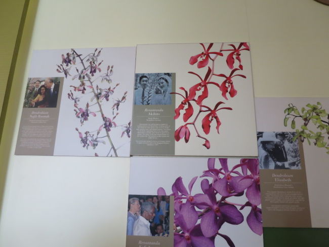 天皇も国際ラン園に行きました