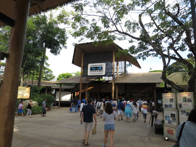 ナイトサファリ