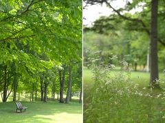 ショーまで少し時間があったのでアリーナ横の公園を散策。