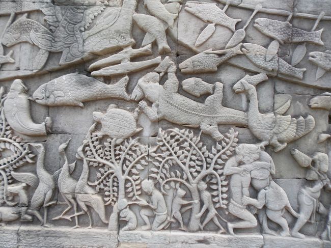 水の中の生き物がたくさん描かれています。