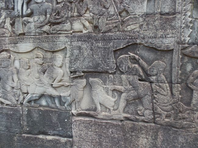 闘犬ならぬ、『闘豚』。