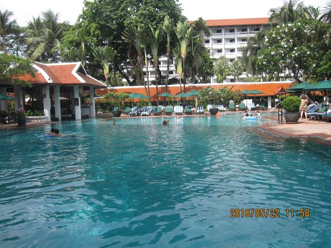 プールはさすがに大きい