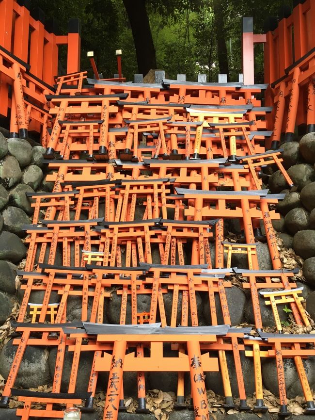 こkもエキゾチックな光景です。