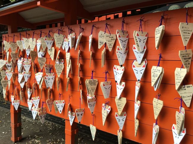 普通の神社ではお目にかかれない光景です。