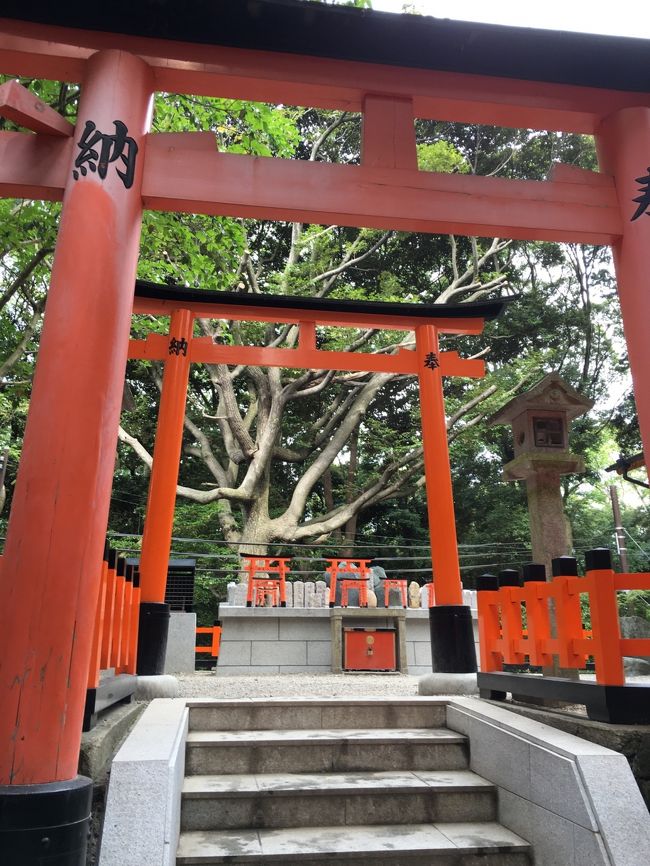 奥の木の形が面白いです。<br />これも神秘なる力のなせる技でしょうか。