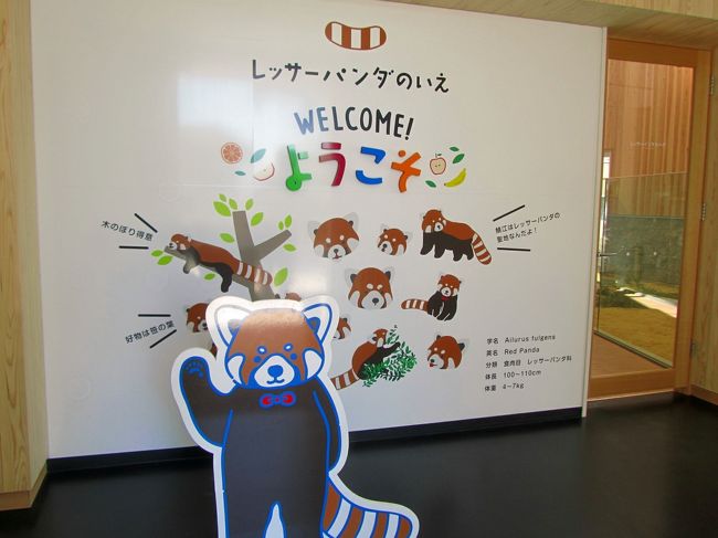 初夏の鯖江 神戸のレッサーパンダを求めて北陸から近畿へ ３ 鯖江編３ 西山動物園の新レッサーパンダのいえ特集 ヤンヤン キラリ モッチー 咲耶の レッサーパンダ親子 その他の動物をちょっとだけ 武生 鯖江 福井県 の旅行記 ブログ By まみさん フォー