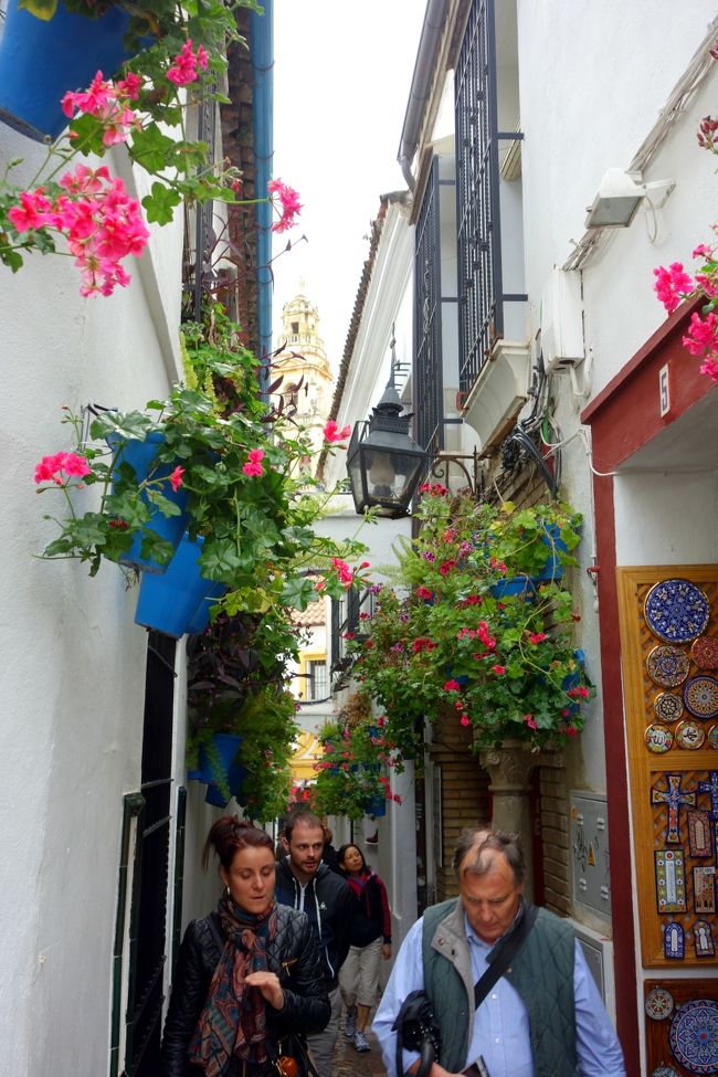 でも実はこの小径、いつ来ても人が多い。<br />世界中のガイド本に紹介されているのかと。