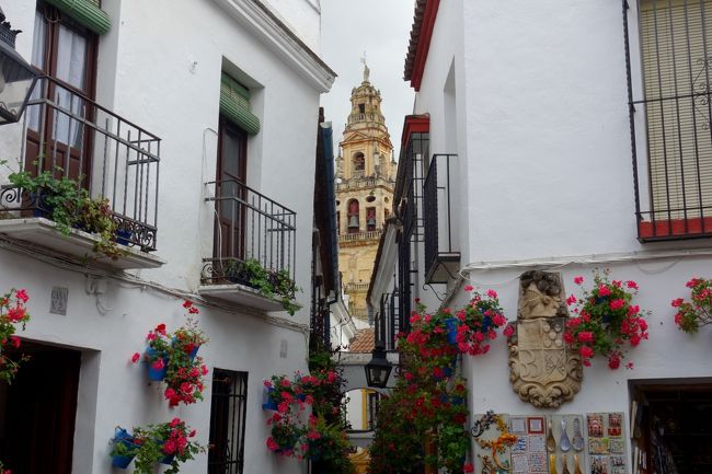 ドン付きの広場からは、こんな感じです。