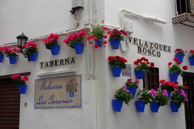 ユダヤ人街は迷路が伸び放題ですが、ちゃんと通り名を確認できるので、<br />時々地図と照らし合わせて現在地を確認する事ができます。