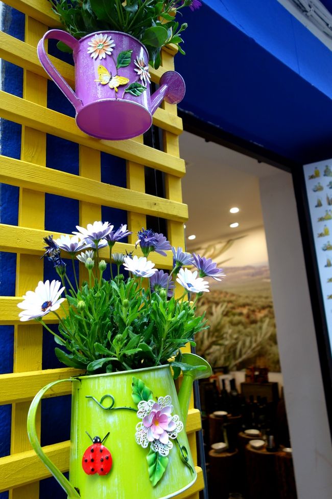 お店のディスプレイ。<br />こんな可愛いジョーロだったら、毎日水やりも楽しいかも？