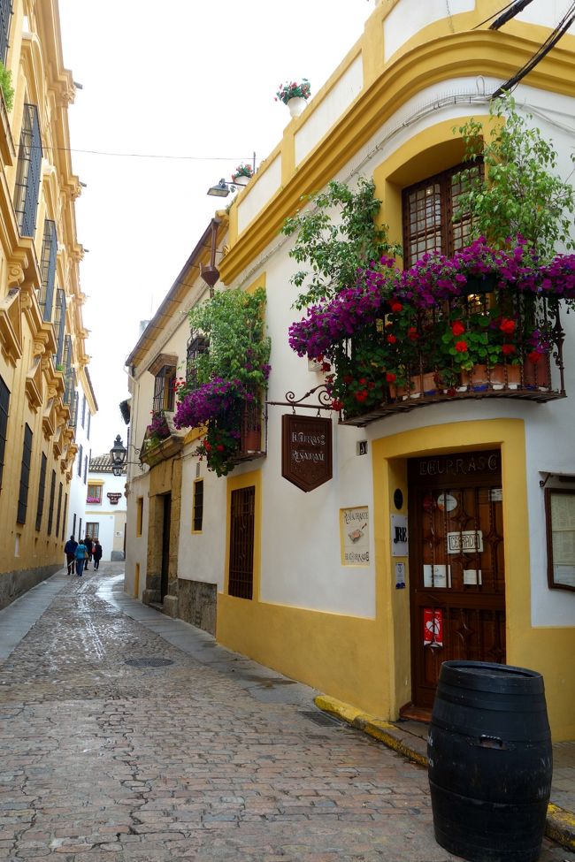 パティオ祭りの午後の部は18時から。人通りの少ない路地はシエスタの様相。