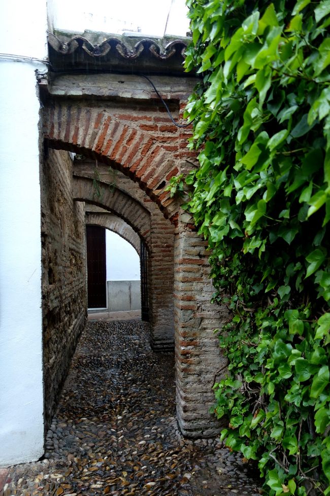 半アーチのトンネル