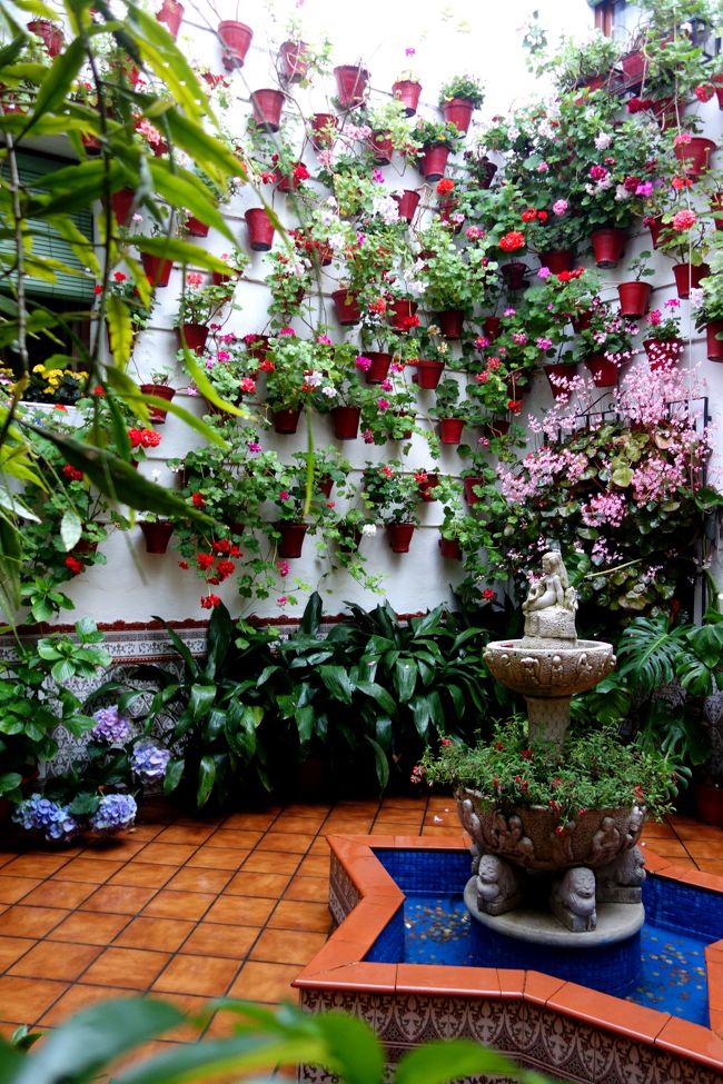 ↑上の建物からほど近い所にパティオ祭りのエントリーのお家を発見！<br />段々自分のイメージに近いパティオに。