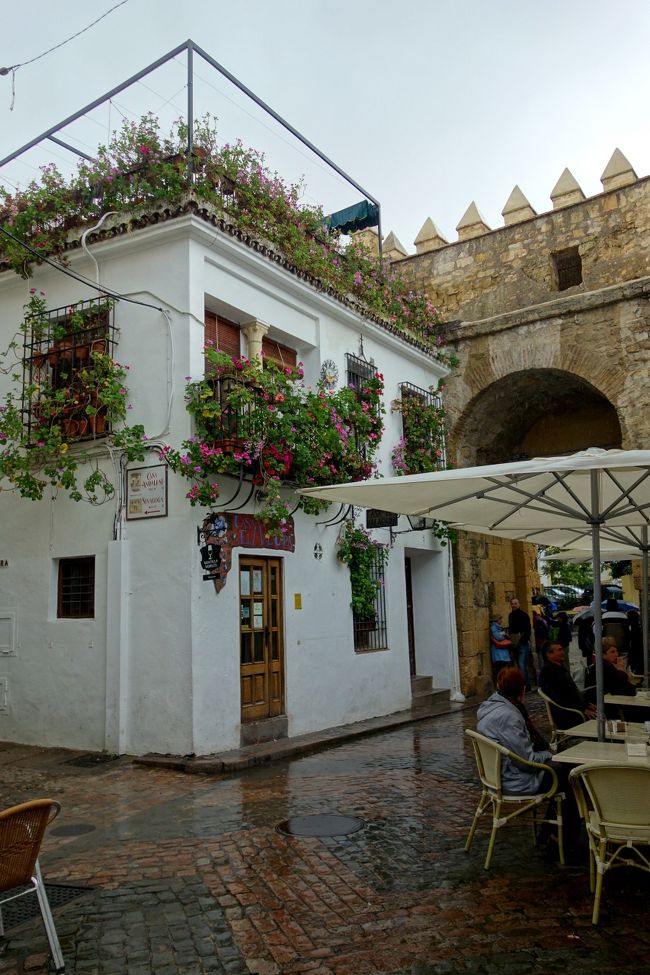 ユダヤ人街のパティオ祭りのエントリー群は広範囲に点在していて、<br />雨の中を歩き続けるにはちょっときつい。<br />祭り地図をよく見ると、旧市街の西側アルカサル方向にエントリーのお家群が集まっているので、そっち方面へ向かう事に。