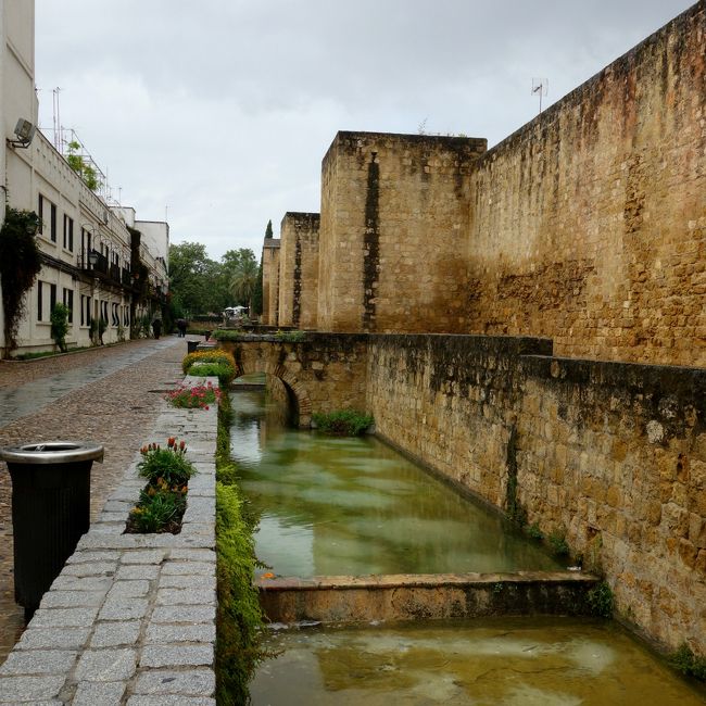 城壁のある所に出てきた。