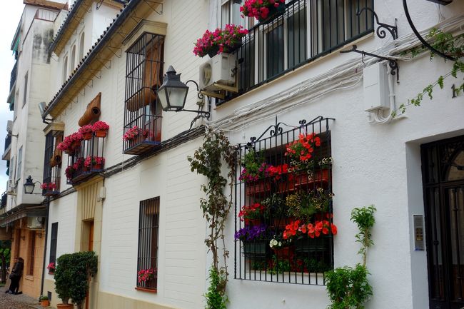 普通の住宅街を通過中。