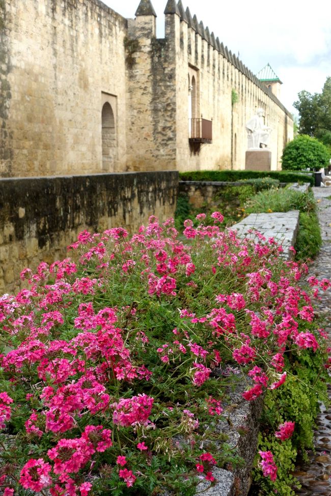 この城壁、歩けど歩けど延々に続く。