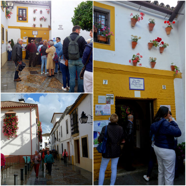 ユダヤ人街では並ばずに入れたパティオ。<br />何故かこのエリアは入場制限をしているお家ばっかり。<br />10〜20分は入るのに待たなければいけない始末。