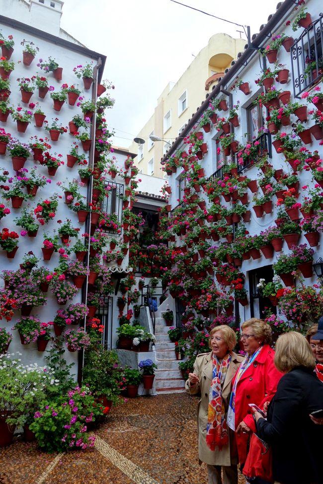 ひやぁ〜凄い！セニューラ達も「ムイ･ボニート」っと連呼しています。<br />このパティオは入賞経験がおありなようで、<br />入り口付近に過去の実績を誇らしげに展示されていた。