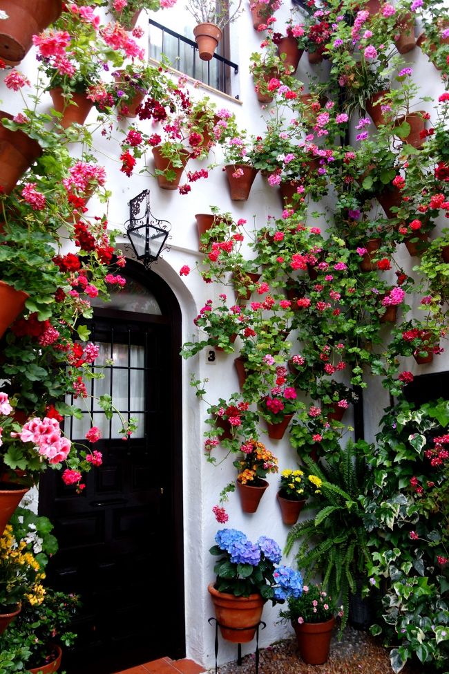 これだけのお花を同時に咲かせるのは大変だろうな〜？