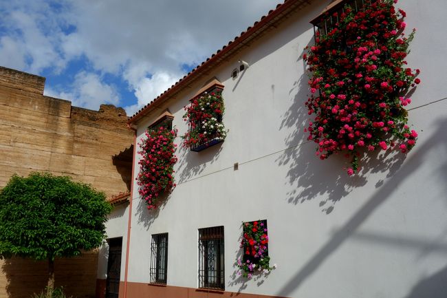 次のお家へ向かいます。<br />パティオ祭りにはパティオだけではなく、バルコニー部門もあるようです。