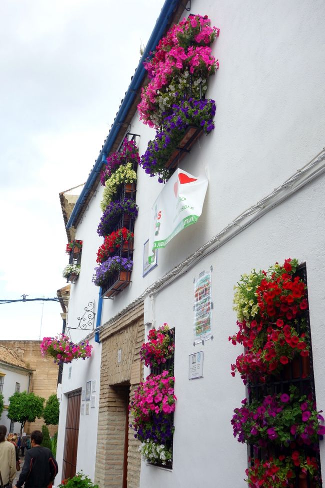 バルコニー部門でエントリーしているお家。<br />なんてったって世界遺産の祭りですもんね。