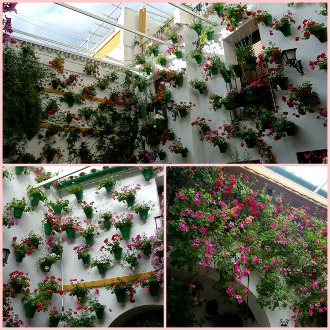 壁に掛かったプランターは緑で統一されています。<br />お家によって様々なパティオ。