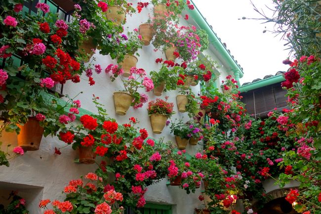 こちらは素焼きのポットにペパーミント･グリーンで統一。