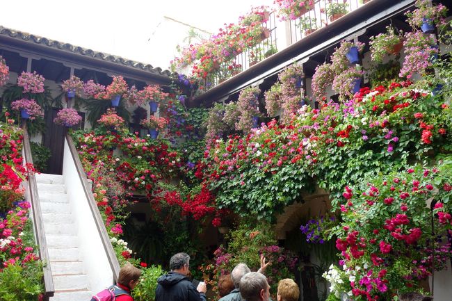 ひやぁ〜、ここも凄い！壁が見えないほどにお花や植物で埋め尽くされています。