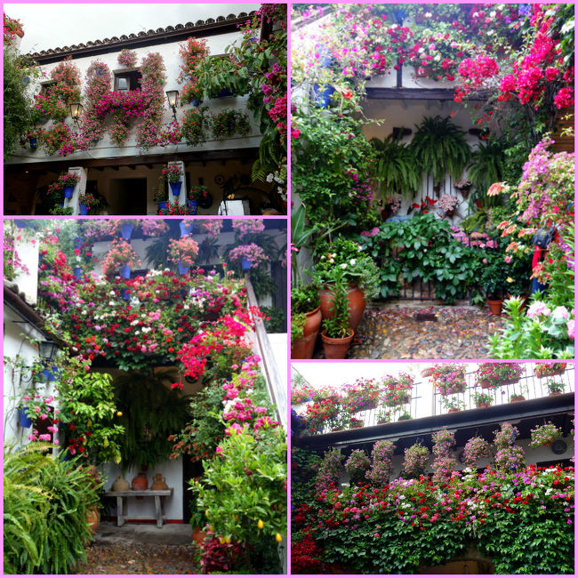 どのお家も力が入っています。祭り期間中は洗濯物もウカウカ干せないだろうね。