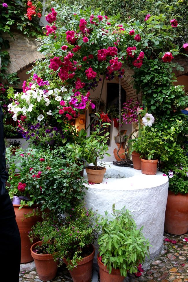 井戸でもこんなに可愛い。まるでローズガーデンだわ。