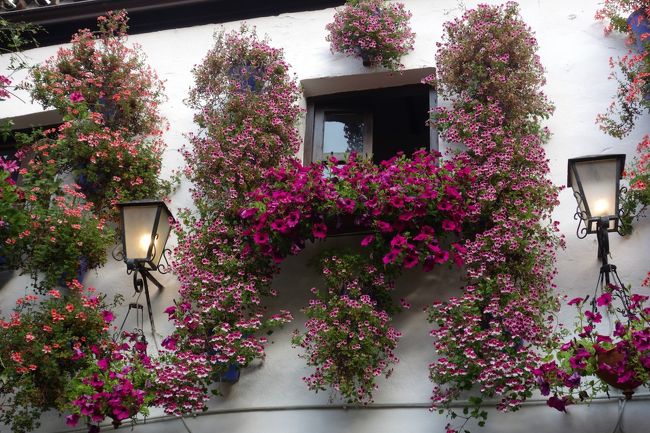 美しすぎ！私が審査員だったら、このお家に一票を投じるかも？