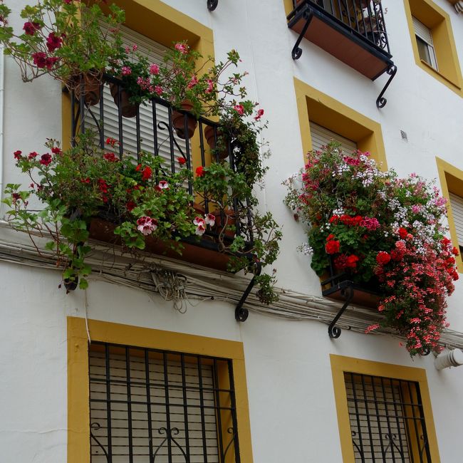 次のお家へ行きましょうか。