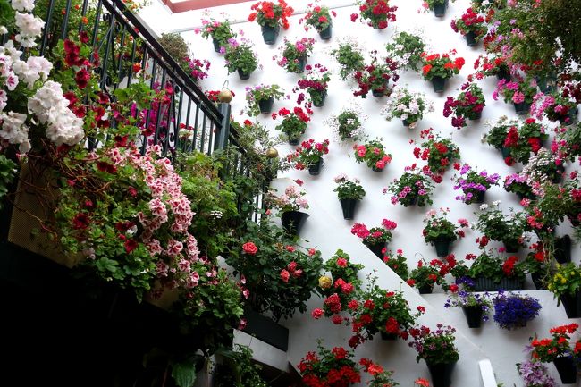 可愛いコルドバチックなパティオです。