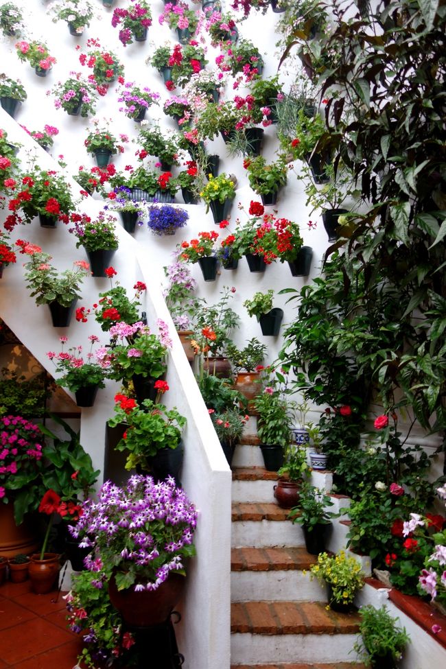 段々疲れてきたので、この辺でパティオ祭りを切り上げる事に。お腹いっぱ〜い！<br />18時から2時間だけでしたが、満足満足！