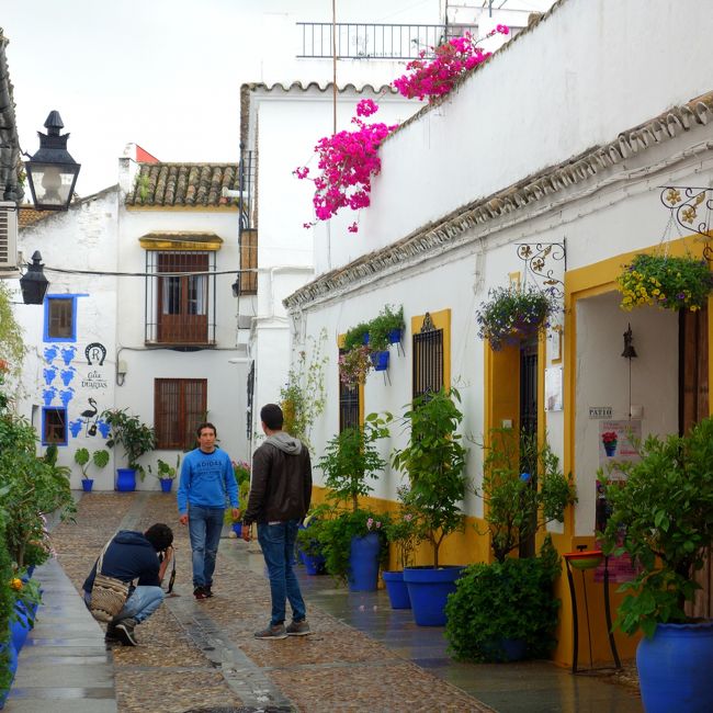 誰もがカメラマンになれる街、コルドバ。