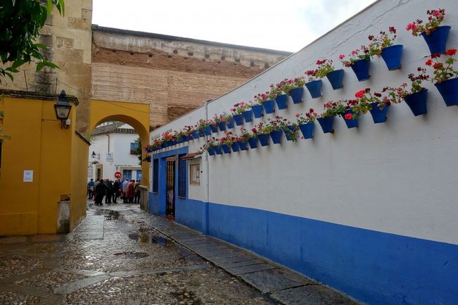 まだ人気のパティオは行列でした。雨の中、ご苦労様です。