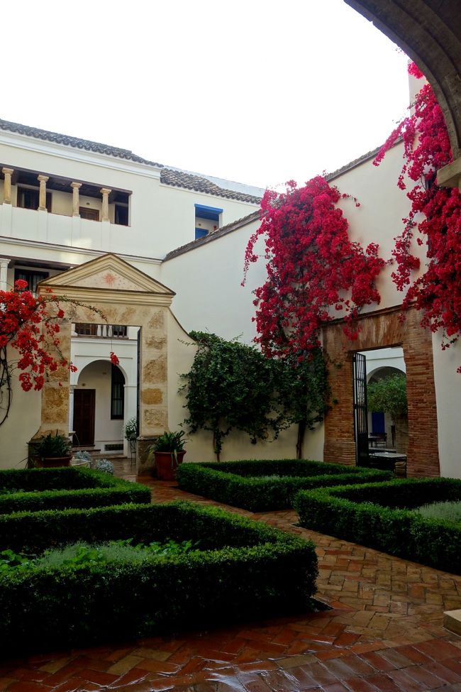 ホテルまで戻る道中で見つけたお庭。また雨宿りです。