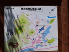 大沼森林公園。
運が良いと、リスやキツネに会うことができるそうです。