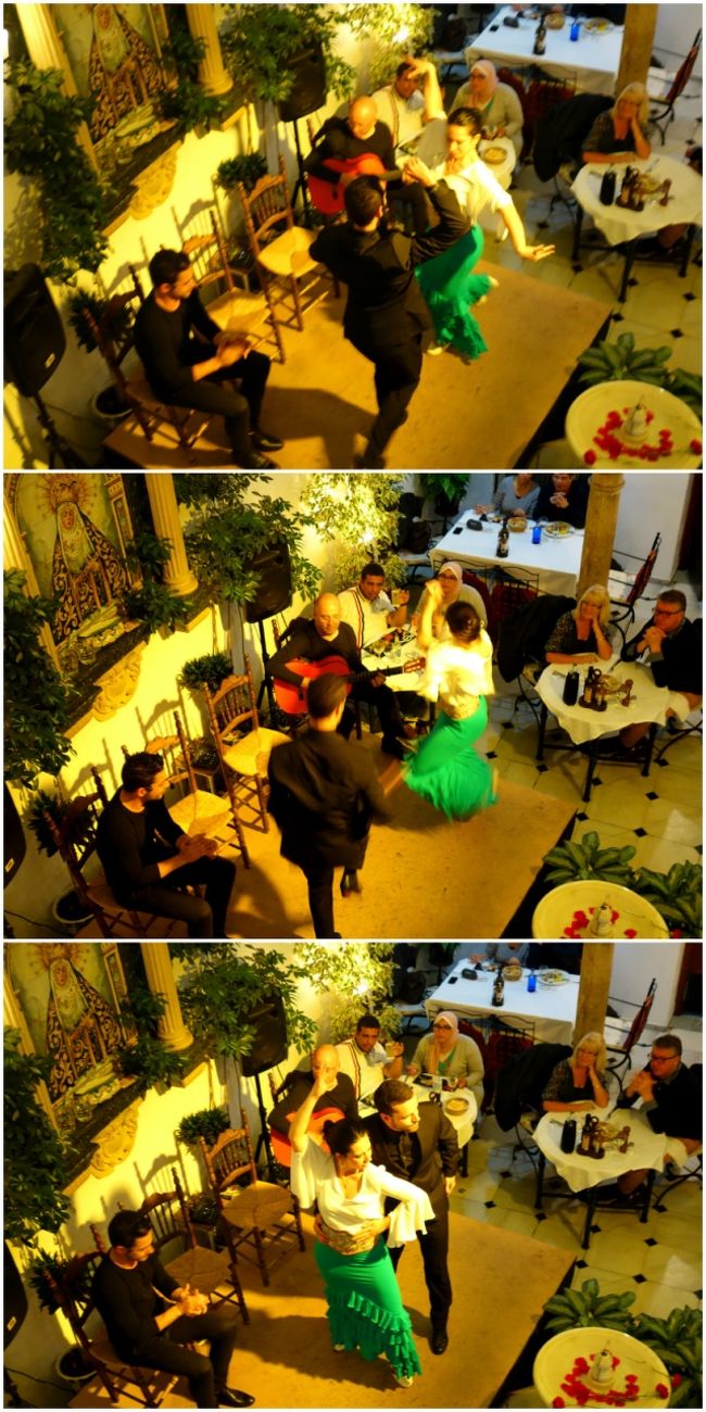 20:45からショーが始まりました。<br />グラナダで見れなかった分、初めて見るフラメンコに感激！<br />踊りも素晴らしかったが、歌い手さんの声がかっこ良過ぎる。<br />ギターの音色に手拍子、踊り手さんの足さばき、<br />フラメンコ独特のリズム感に引き込まれていく。