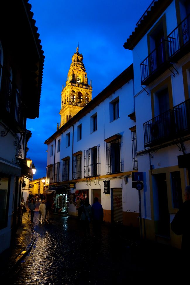 ホテルへ真っ直ぐ帰ろうかな〜っと思っていましたが、<br />ミナレットがライトアップされているのが見え、ちょっと寄り道。