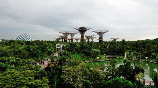 ガーデンズ・バイ・ザ・ベイは広いです。<br />歩きまわると蒸し暑いので飲み物を忘れない様に用意してください。