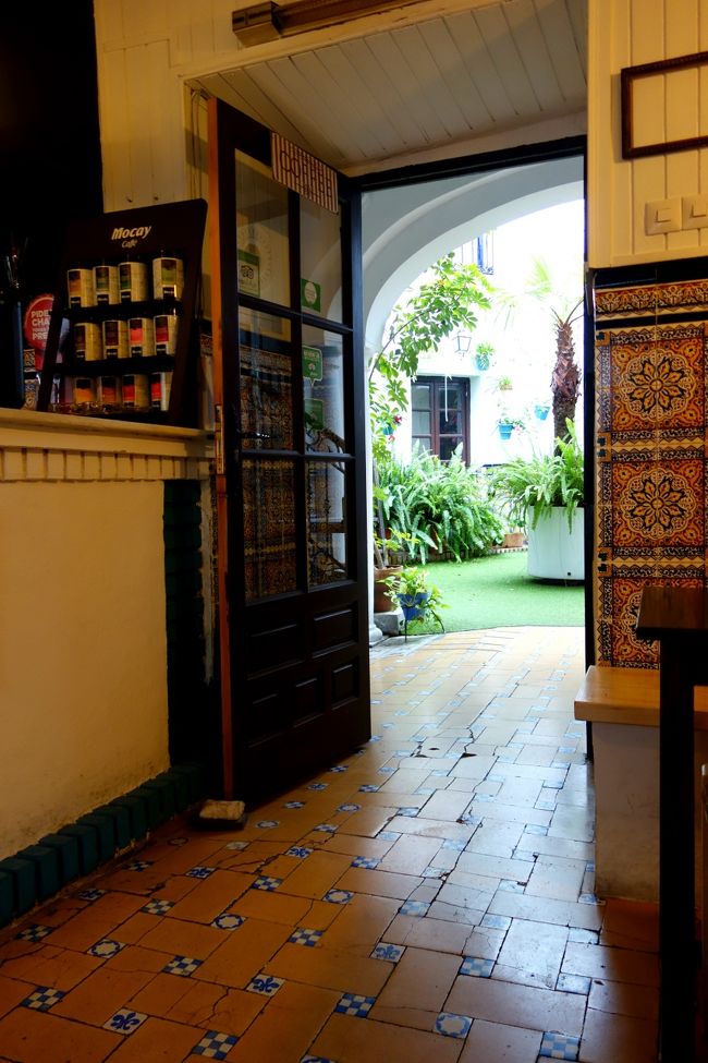 旅行6日目スタート。朝食が食べられるホテル近くのホステルへ。<br />パティオ付きの可愛いホステルであった。こういう所を予約すれば良かった。